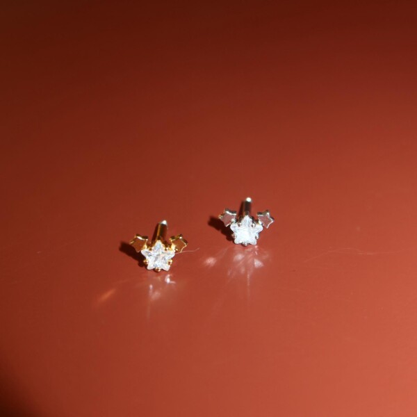 3 Yıldızlı Piercing - Fi Season (1)