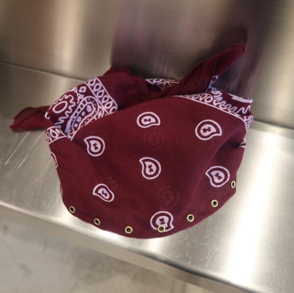 9 Charmlı Bandana - 3