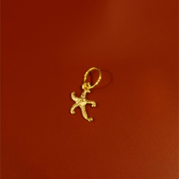 Deniz Yıldızı Figürlü Charm - Fi Season