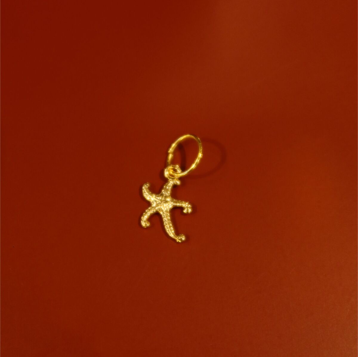 Deniz Yıldızı Figürlü Charm - 1