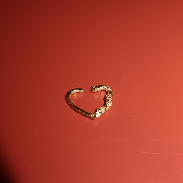 Kalpli Yılan Kıkırdak Küpesi - Fi Season (1)