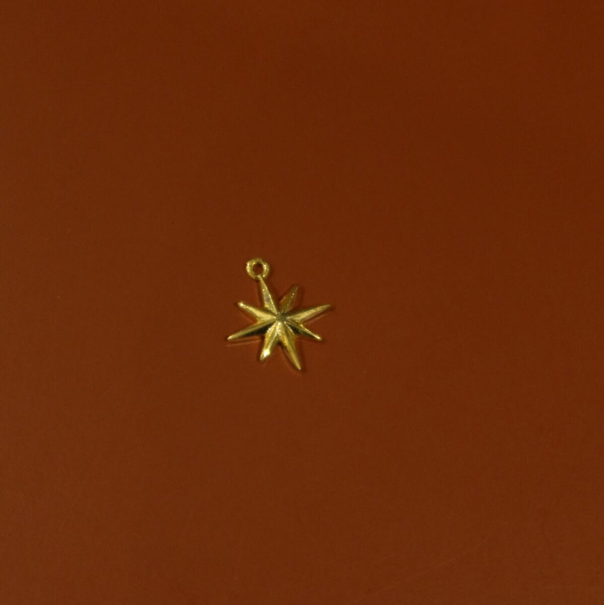 Kutup Yıldızı Figürlü Charm - 1