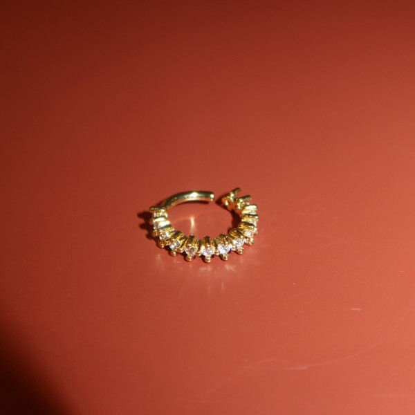 Minik Taşlı Kıkırdak Küpesi - Fi Season