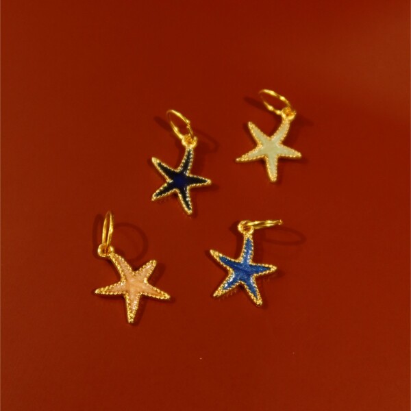 Renkli Deniz Yıldızı Figürlü Charm - Fi Season