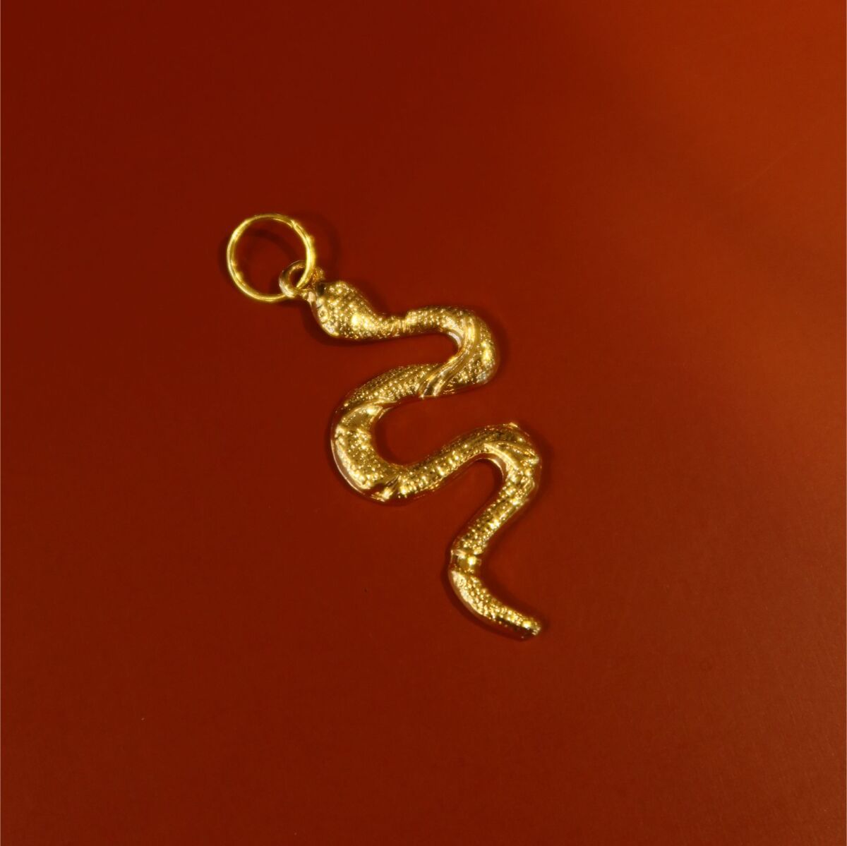 Yılan Figürlü Charm - 1