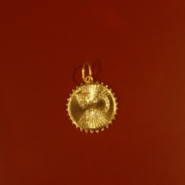 Yılan Figürlü Madalyon Charm - Fi Season