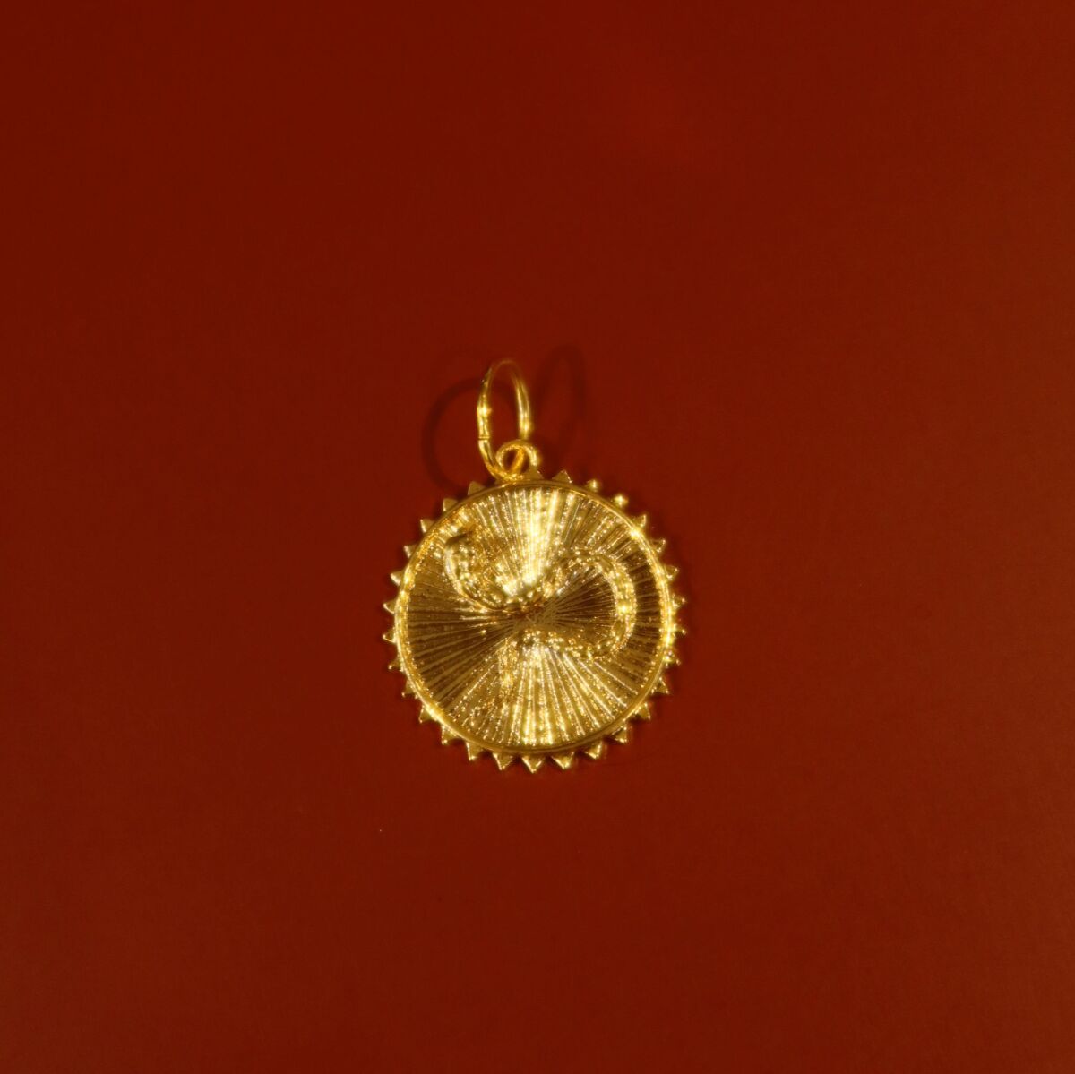 Yılan Figürlü Madalyon Charm - 1