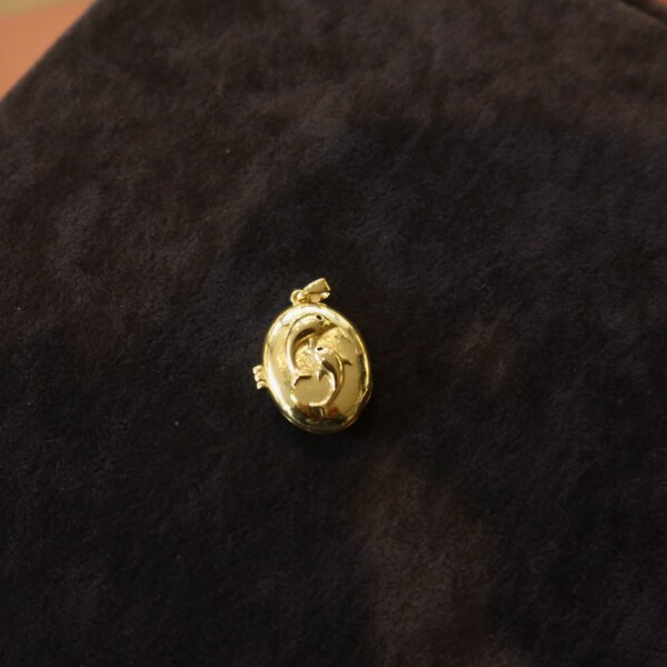 Yunus Balığı Figürlü Kapaklı Charm - Fi Season