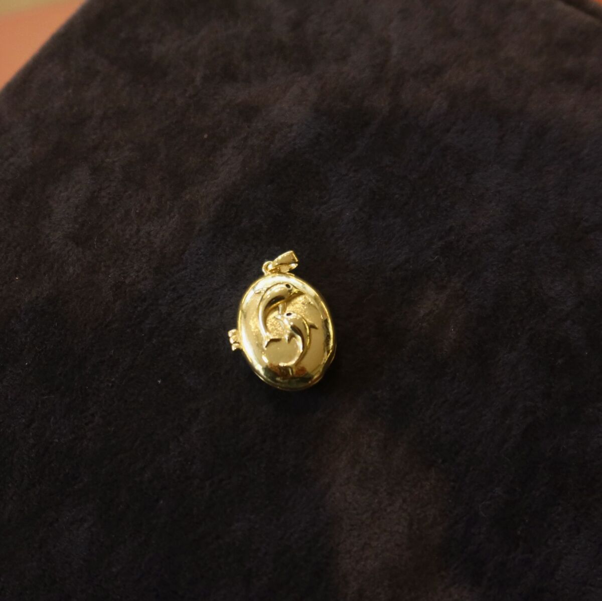 Yunus Balığı Figürlü Kapaklı Charm - 1